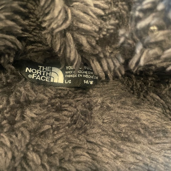 The North Face hooded Jacket Boy 550 fill - Picture 3 of 5